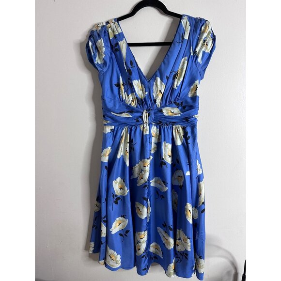 Luzi Chin Dresses & Skirts - Luzi Chin Maggy Boutique Blue Floral Cottagecore Sundress V Neck Fit Flare Petit